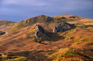 Sehnsucht Süden